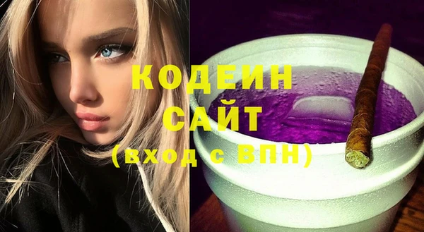 СК Няндома