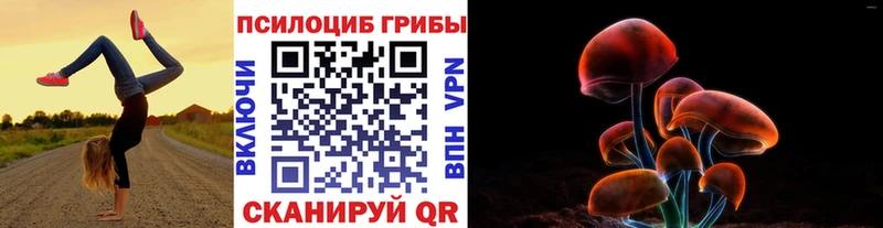 ОМГ ОМГ ССЫЛКА  Дзержинский  Псилоцибиновые грибы мухоморы 